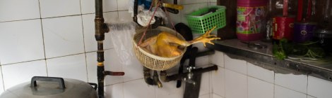 Scaramouchine was forturnate to be invited into a traditional Shanghai house. This type of housing is rapidly disapearing and Scaramouchine thinks it is a shame. A destruction of charm of individuality and a loss of well built well thought out housing.