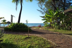 The garden in front of her room.