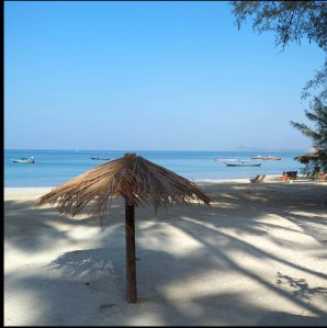Morning Sunlight on the Beach