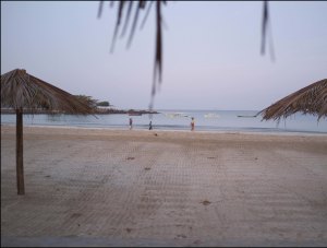 Scaramouchine didn't really move from the lounge in front of her room.  She enjoyed the view all day long.