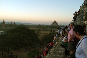 Bagan-314