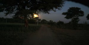 Moonlight in the horsecart