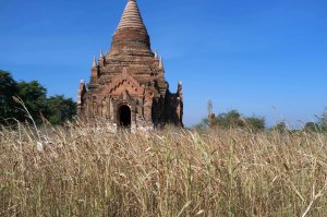 Bagan-335