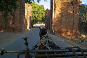 Coming to the Tharbar Gate