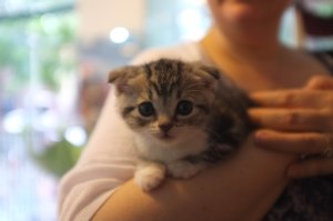 Shanghai.walking tour.day1